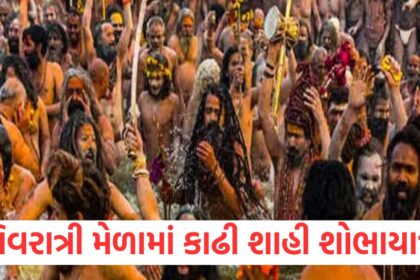 At the Shivratri fair in Junagadh monks and saints bathed in the Mrig Kund and took out a royal procession.1