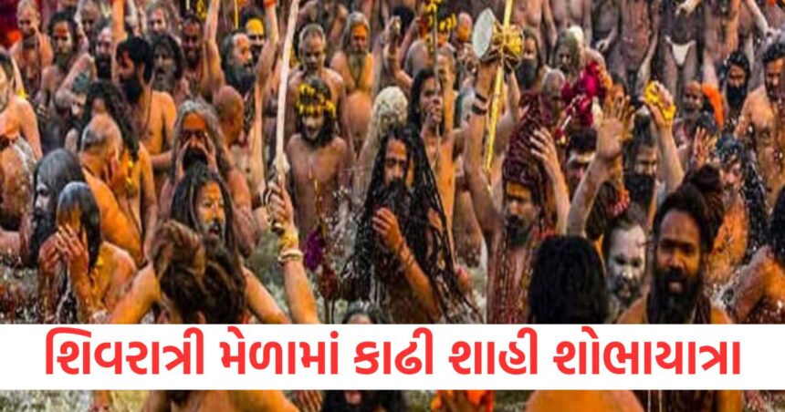 જૂનાગઢના શિવરાત્રી મેળામાં સાધુઓ અને સંતોએ મૃગી કુંડમાં સ્નાન કર્યું અને શાહી શોભાયાત્રા કાઢી 1 At the Shivratri fair in Junagadh monks and saints bathed in the Mrig Kund and took out a royal procession.1