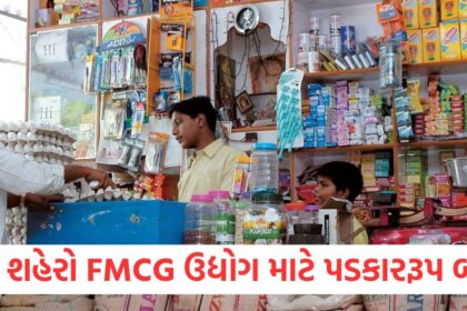 Big cities became a challenge for the FMCG industry increasing dependence on rural markets1222