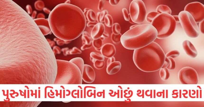 પુરુષોમાં હિમોગ્લોબિન ઓછું થવાના કારણો, લેવલ વધારવા માટે કઈ વસ્તુઓનું સેવન કરી શકાય? 1 Causes of low hemoglobin in men what things can be consumed to increase the level1