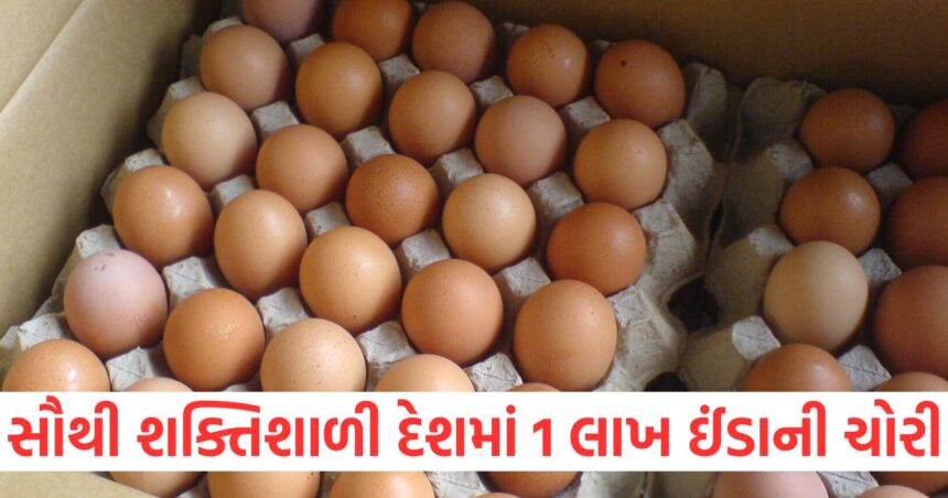 દુનિયાના સૌથી શક્તિશાળી દેશમાં અરાજકતા મચી ગઈ, 1 લાખ ઈંડા ચોરાઈ ગયા 1 Chaos broke out in the worlds most powerful country 1 lakh eggs were stolen1112