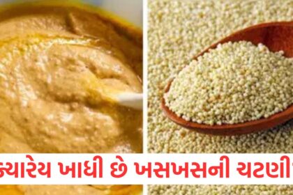 Have you ever eaten poppy seed chutney This recipe is full of flavor and is beneficial for health note down the recipe immediately1