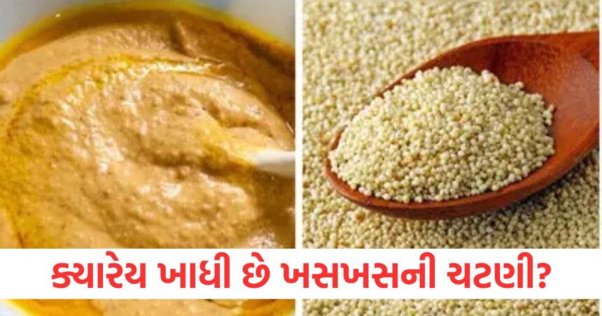 ક્યારેય ખાધી છે ખસખસની ચટણી? સ્વાદથી ભરપૂર આ રેસીપી સ્વાસ્થ્ય માટે ફાયદાકારક છે, રેસીપી તરત જ નોંધી લો 1 Have you ever eaten poppy seed chutney This recipe is full of flavor and is beneficial for health note down the recipe immediately1