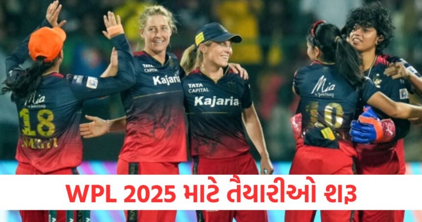 Preparations for WPL 2025 begin this RCB star player gets fit before the tournament1