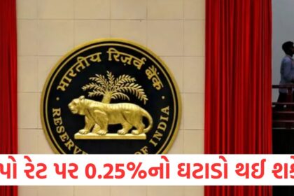 RBIs decision on repo rate today may be reduced by 0.251
