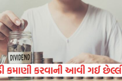 The last chance to earn big money has come you are getting a dividend of Rs 100 on 1 share see the record date1