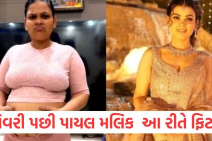 This is how Payal Malik got fit after delivery lost weight in 8 months1