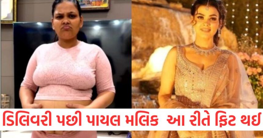 This is how Payal Malik got fit after delivery lost weight in 8 months1