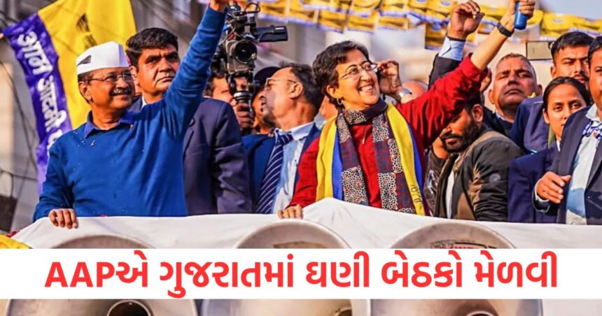 દિલ્હીમાં હાર બાદ ગુજરાતથી કેજરીવાલ માટે આવ્યા સારા સમાચાર, AAPએ ઘણી બેઠકો જીતી 1 aap wins seats in gujarat local body elections after delhi defeat2