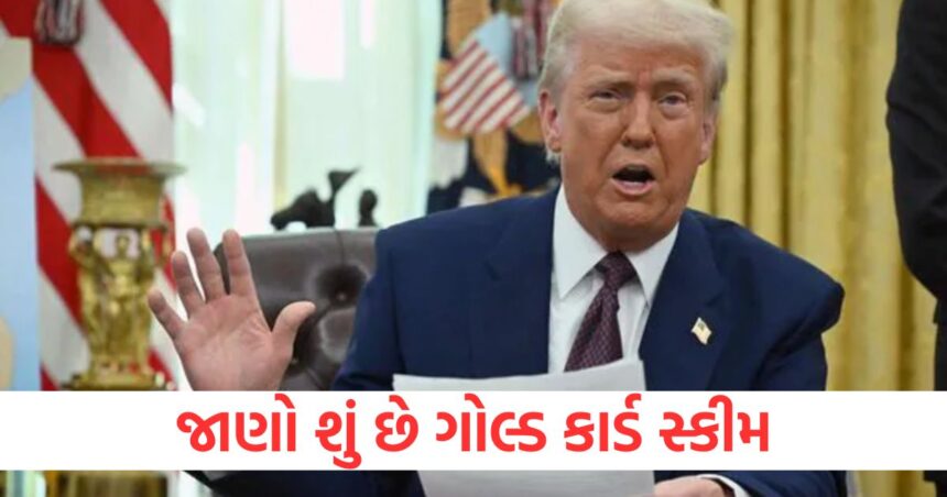 ટ્રમ્પે ઇમિગ્રન્ટ્સ માટે નવી યોજના બનાવી, અમેરિકા 5 મિલિયન ડોલરમાં નાગરિકતા વેચશે; જાણો શું છે ગોલ્ડ કાર્ડ સ્કીમ 1 donald trump says will sell gold card for 5 million know details1