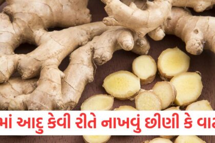 if you are going to make tea which type of ginger is good for you1