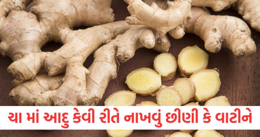 આદુને છીણી કે પછી વાટીને કઈ રીતે ચા માં નાખવું, કઈ પદ્ધતિ વધુ ફાયદાકારક છે ; મોટા ભાગના લોકોને નહિ ખબર હોય 1 if you are going to make tea which type of ginger is good for you1