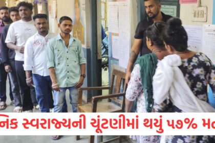 local body elections in gujarat fate of 5084 candidates captured213