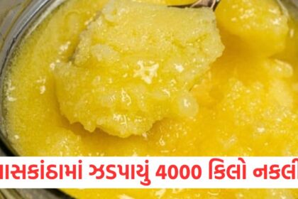 nakli ghee seized gujarat banaskantha shri navkar dairy products1