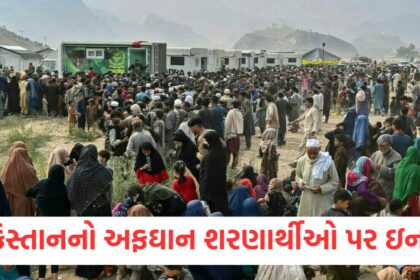 pakistan rejects allegations of mistreatment of afghan refugees1