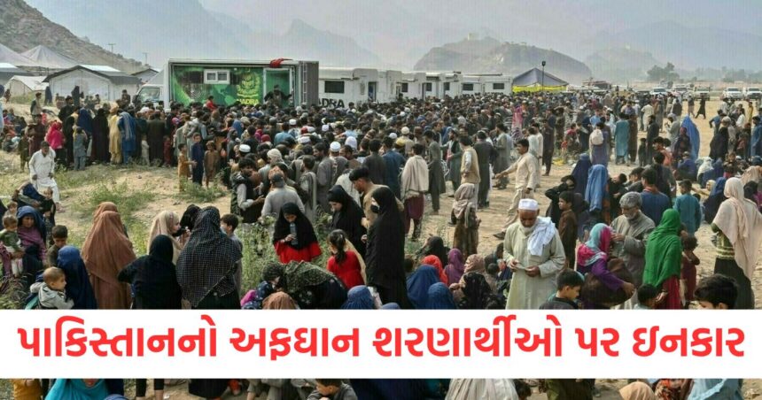અફઘાન શરણાર્થીઓ સાથે શું કરી રહ્યું છે પાકિસ્તાન? જાણો કેવા પ્રકારની બની ગઈ છે સ્થિતિ 1 pakistan rejects allegations of mistreatment of afghan refugees1