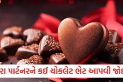 relationship chocolate day 2025 which chocolate should you gift to your partner you must know this valentine week