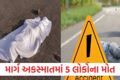 suv collides with bus in gujarat five persons including couple and two sons were killed1