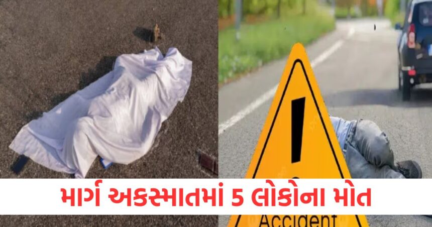 ગુજરાતમાં ભયાનક માર્ગ અકસ્માત; રાજસ્થાન ટ્રાન્સપોર્ટ બસ અને એસયુવી વચ્ચે અકસ્માતમાં 5 લોકોના મોત, 9 ઘાયલ 1 suv collides with bus in gujarat five persons including couple and two sons were killed1