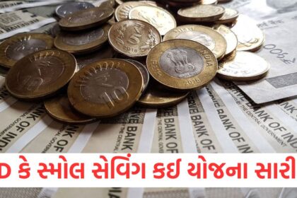 which is better between fd and small savings schemes take the right decision before investin1