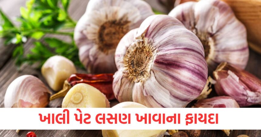 લસણ ખાવાથી સ્વાસ્થ્યને થાય છે જબરદસ્ત ફાયદા, જાણો શા માટે તેને ખાલી પેટ ખાવાની સલાહ આપવામાં આવે છે? 1 2323
