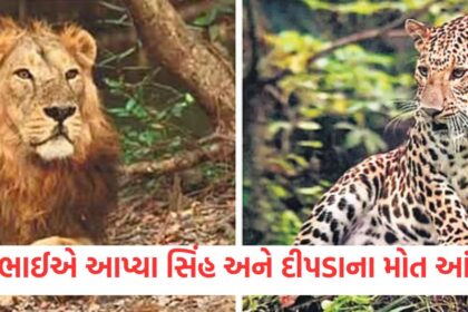 286 lions and 456 leopards died in two years in1