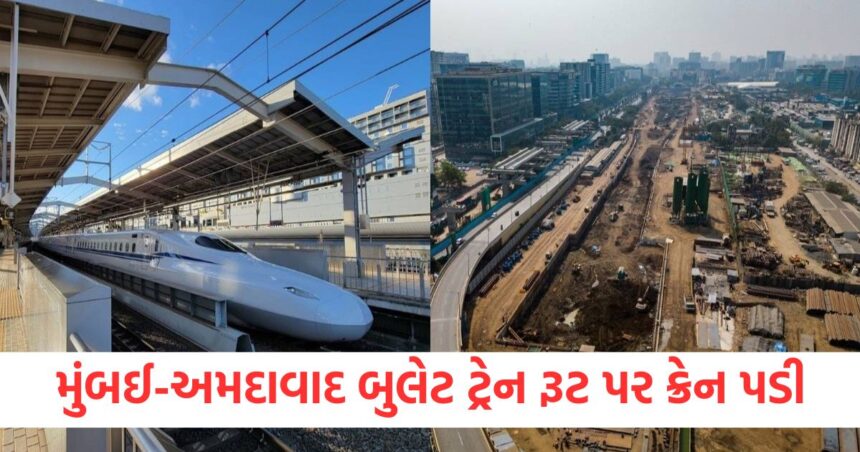 મુંબઈ-અમદાવાદ બુલેટ ટ્રેન રૂટ પર ક્રેન પડી, અકસ્માત, કામ દરમિયાન અંધાધૂંધી મચી ગઈ 1 Crane falls on Mumbai Ahmedabad bullet train route accident chaos during work