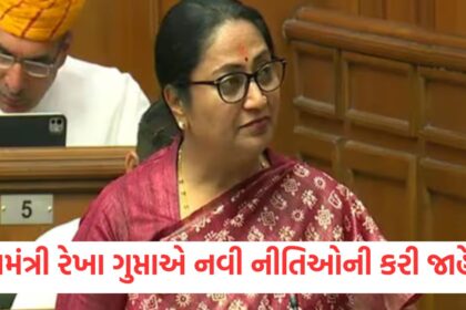 Government will bring new industrial policy and new warehouse policy in Delhi