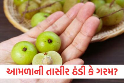 Is Amla cold or hot
