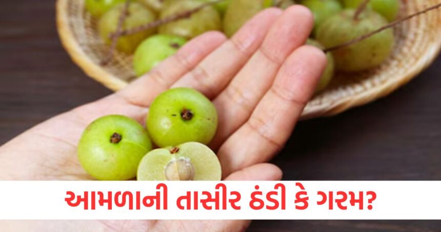 Is Amla cold or hot