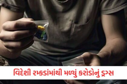 Parcels of toys arrived from abroad police opened them and found drugs worth Rs 3.45 croreaxsdcfvgghbn