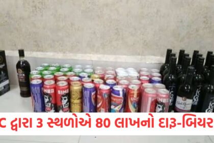 SMC takes action at 3 places seizes foreign liquor and beer worth Rs 80 lakh1