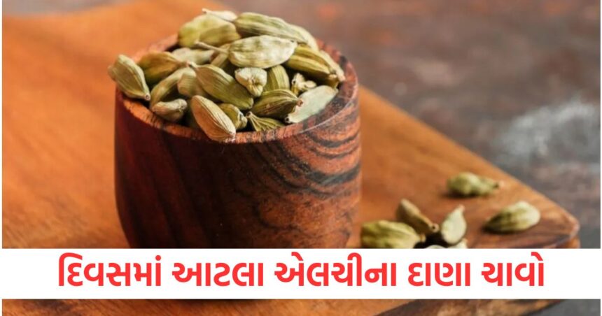 દિવસમાં આટલા એલચીના દાણા ચાવો, એક મહિનામાં ઘણી સ્વાસ્થ્ય સમસ્યાઓ દૂર થઈ જશે 1 chewing how many cardamom in one day maximize health benefits