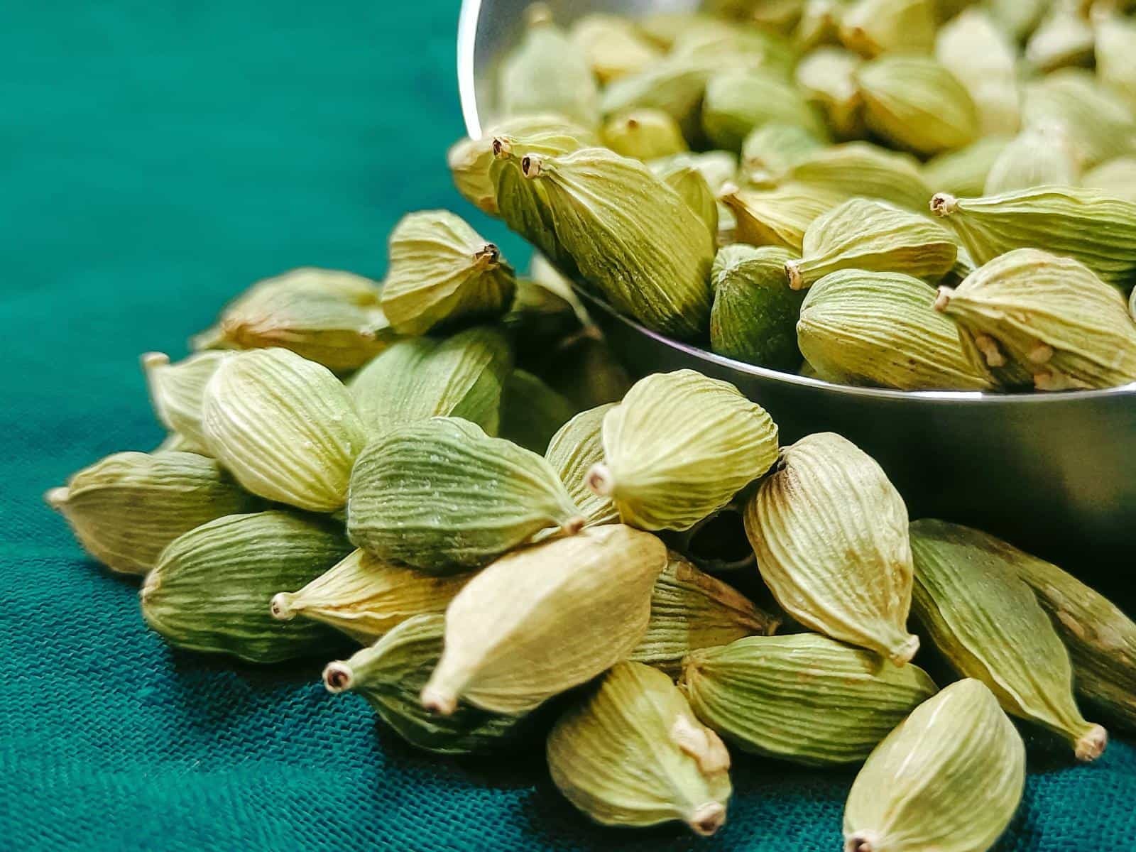 દિવસમાં આટલા એલચીના દાણા ચાવો, એક મહિનામાં ઘણી સ્વાસ્થ્ય સમસ્યાઓ દૂર થઈ જશે 2 chewing how many cardamom in one day maximize health benefits1