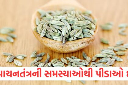 fennel seeds with jaggery benefits how to keep digestive system healthy and acidity relief1