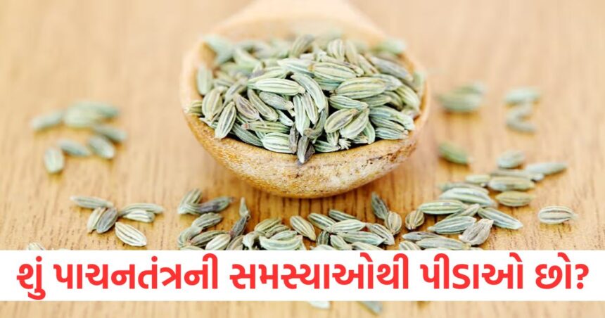 શું તમે પણ પાચનતંત્રની સમસ્યાઓથી પીડાઓ છો? આજથી જ શરૂ કરો આ સરળ ઉપાય 1 fennel seeds with jaggery benefits how to keep digestive system healthy and acidity relief1