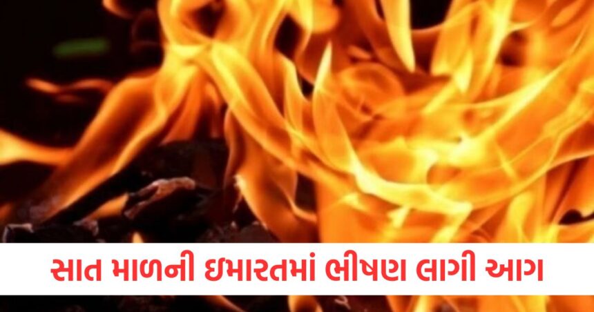 વડોદરામાં સાત માળની ઇમારતમાં ભીષણ આગ લાગી, એક વ્યક્તિનું મોત 1 fire catches in a seven storey residential building in vadodara