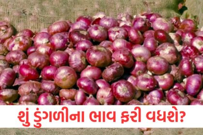 government withdrew 20 export duty on onion from april 1