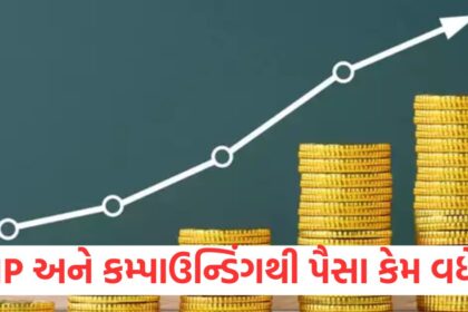 monthly investments can become big returns with sip and compound interest personal finance1