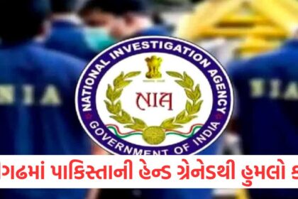 pakistani hand grenade used to attack in chandigarh house