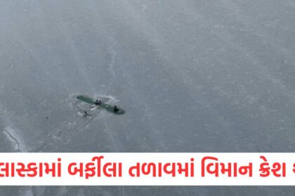 plane crashed in an icy lake in alaska the pilot and two children saved their lives by sitting on wings