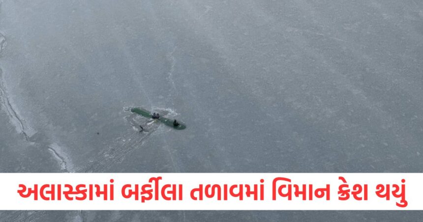 plane crashed in an icy lake in alaska the pilot and two children saved their lives by sitting on wings