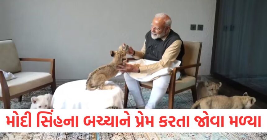 પીએમ મોદી સિંહના બચ્ચાને પ્રેમ કરતા જોવા મળ્યા, અનંત અંબાણીએ વનતારાની મુલાકાતનું આયોજન કર્યું 1 pm modi with lions cub and anant ambani visited vantara