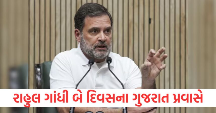 રાહુલ ગાંધી બે દિવસના ગુજરાત પ્રવાસે, ચૂંટણી તૈયારીઓને વેગ આપશે 1 rahul gandhi will go to gujarat on a two day1