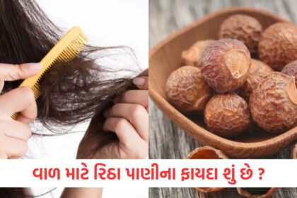 reetha water is beneficial for many hair problems like lifeless and grey hair