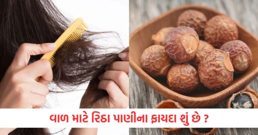 જો તમે આ રીતે રીથાનો ઉપયોગ કરશો તો નિર્જીવ વાળમાં આવી જશે જીવ, સફેદ વાળ પણ દૂર થશે 1 reetha water is beneficial for many hair problems like lifeless and grey hair