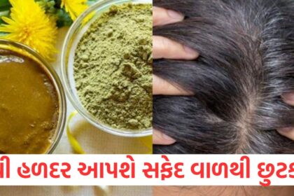to get rid of grey hair try raw turmeric and get black hair in hindi how to reverse greying of hair naturally1