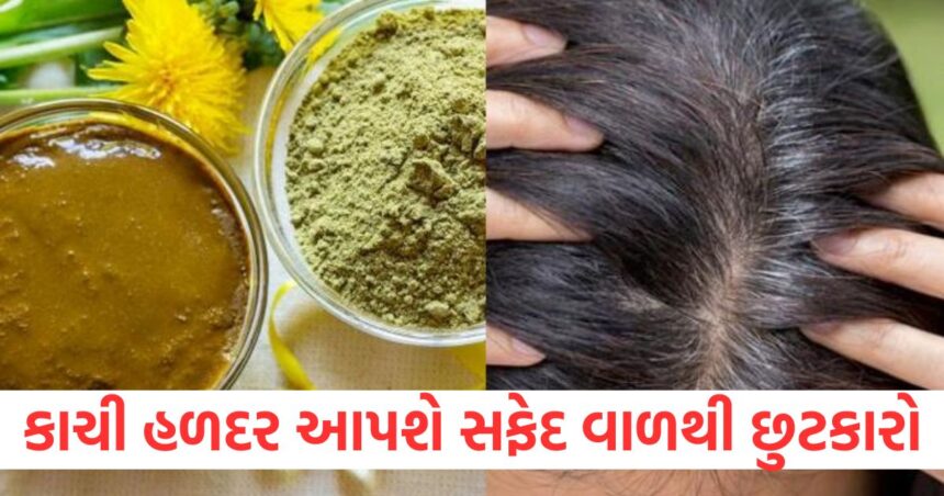 to get rid of grey hair try raw turmeric and get black hair in hindi how to reverse greying of hair naturally1