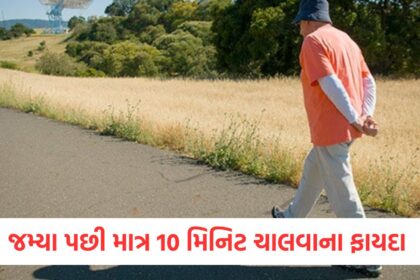 walking for just 10 minutes after dinner at night improves sleep