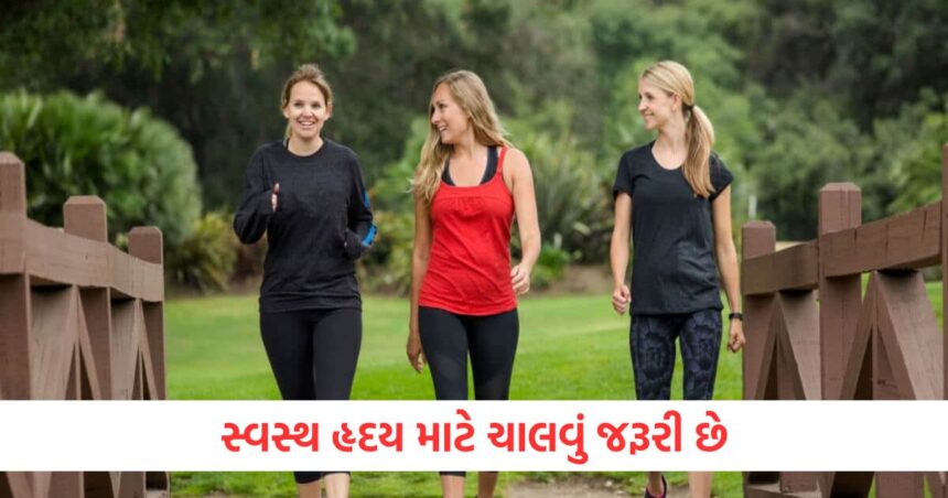 સ્વસ્થ હૃદય માટે ચાલવું જરૂરી છે, જાણો દિવસમાં કેટલા કલાક ચાલવાથી તમારા હૃદયનું સ્વાસ્થ્ય સુધરશે 1 walking is necessary for a healthy heart know how many hours of walking in a day